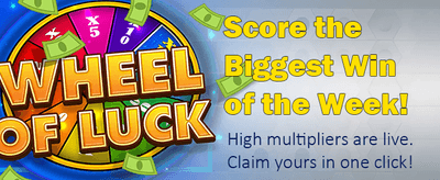 Daily Bonuses Waiting for You